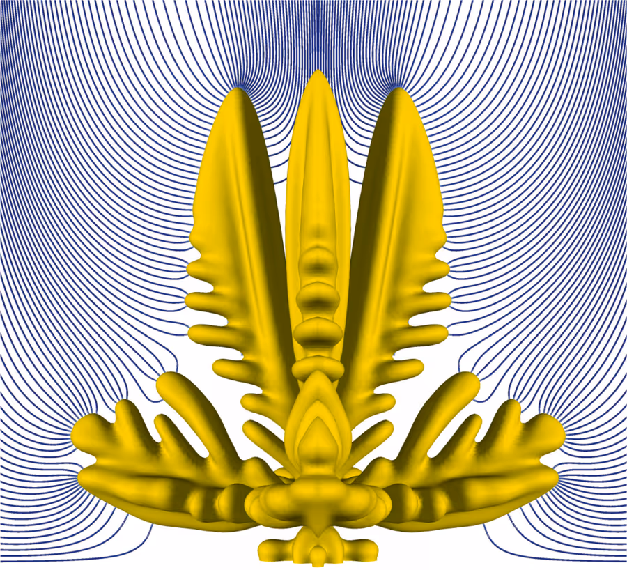 Three-dimensional lithium dendrite morphology with surrounding transport-field lines.