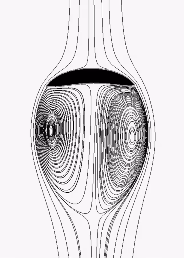 Streamlines showing the recirculating wake behind a rising bubble in viscous liquid.