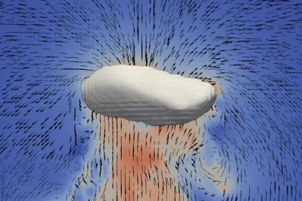 Bubble dynamics and tomography of bubbling beds