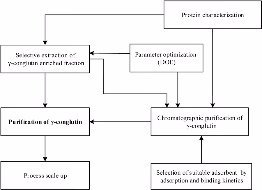 Process-development flowchart for selective extraction, purification and scale-up of lupin gamma-conglutin.